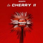 Wholesale RUSHFPV Cherry2 Cherry Antenna II 5.8G LDS Circularly  Antenna for Analog Digital Drones DIY Parts